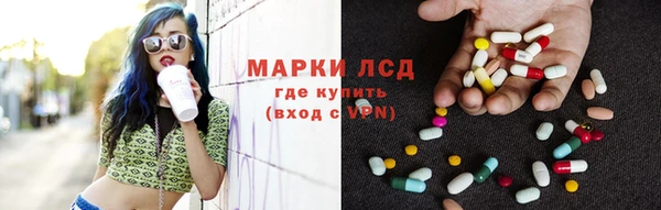 прущие грибы Беломорск