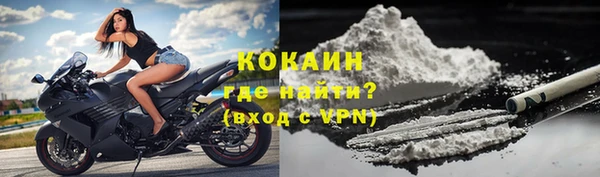 прущие грибы Беломорск