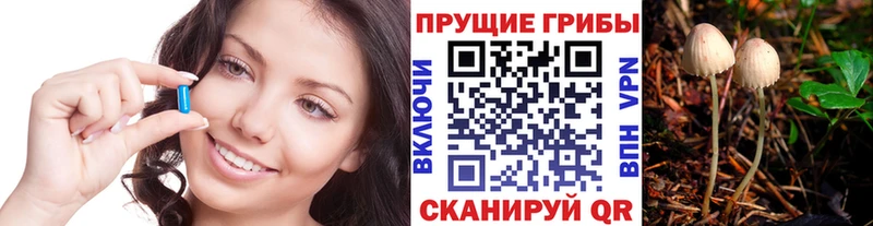 продажа наркотиков  Бийск  Галлюциногенные грибы MAGIC MUSHROOMS 